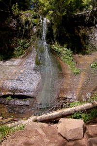 Der Sankenbach Wasserfall als Teil des Sankenbachsteigs 5 Sankenbach Wasserfall - was für ein Anblick
