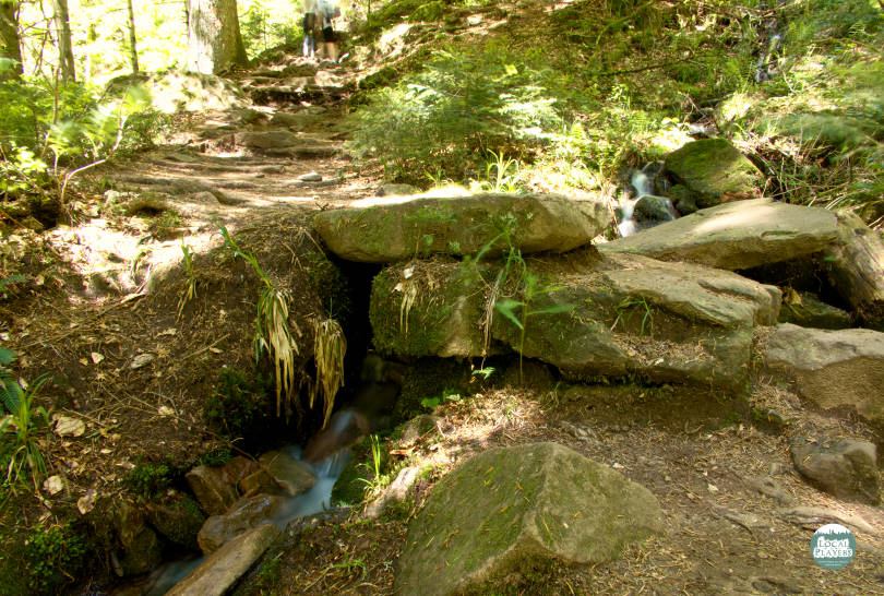 Der Sankenbach Wasserfall als Teil des Sankenbachsteigs 4 Sankenbacher Wasserfälle - kleine Rinnsale auf dem Weg