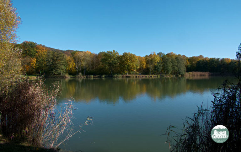 Seewaldseen Horrheim - Herbstfarben unter blauem Himmel Seewaldseen Horrheim - Herbstfarben unter blauem Himmel
