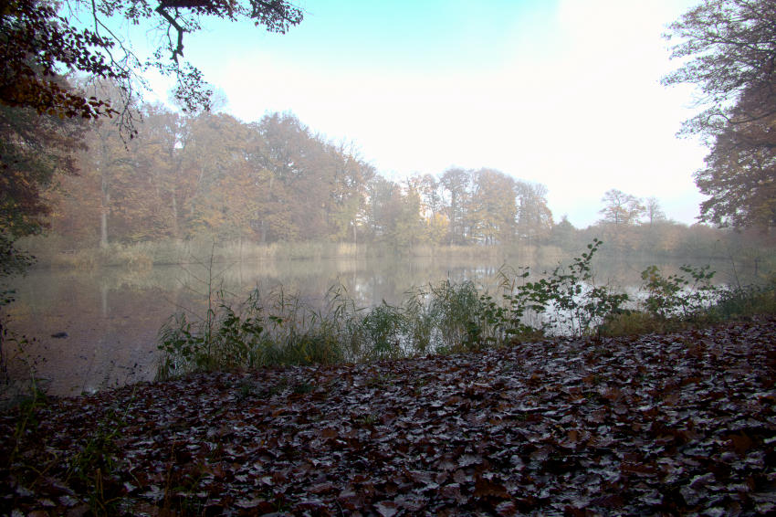 Der Hamberger See: Idylle mit Überraschungseffekt 2 Der Hamberger See - ein Hauch Hochnebel liegt noch in der Luft