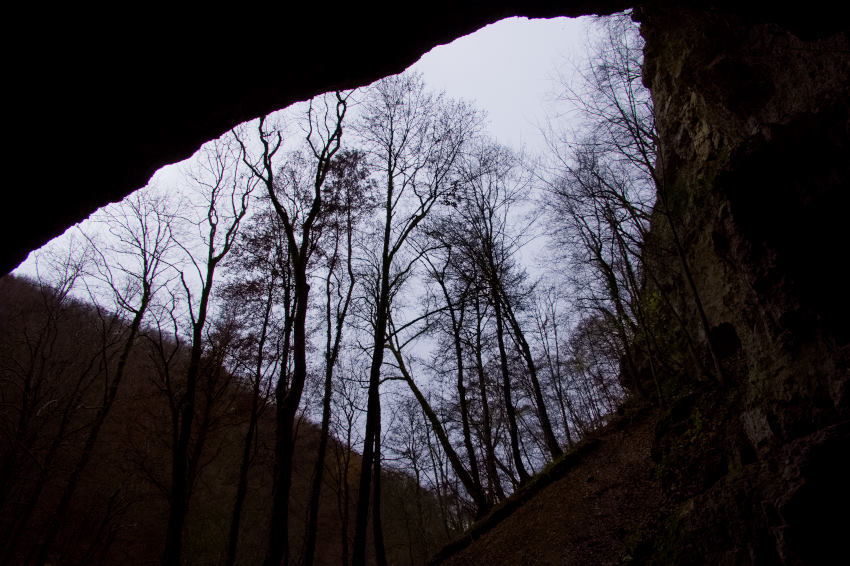 Falkensteiner Höhle - Blick vom Portal nach draußen