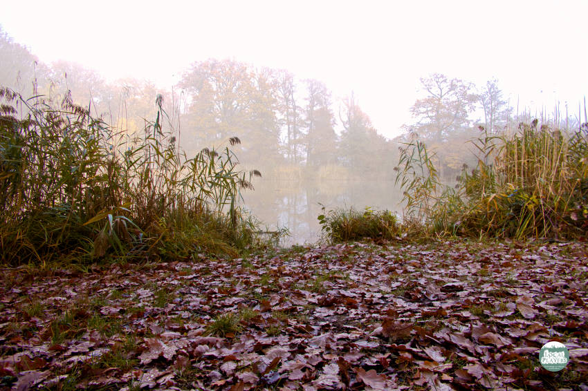 Der Hamberger See: Idylle mit Überraschungseffekt 1 Hamberger See bei Vaihingen-Enz - Herbstliche Schönheit