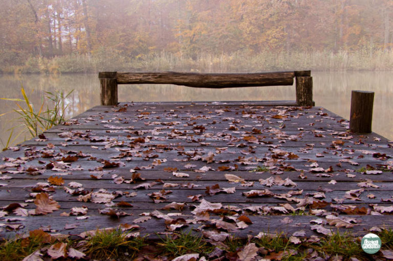 Steg am Hamberger See im herbstlichen Dekor Steg am Hamberger See im herbstlichen Dekor
