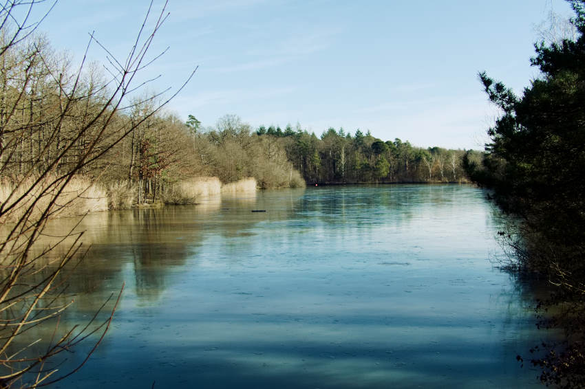 Heiligenbergsee Häfnerhaslach - Blick über den leicht vereisten See