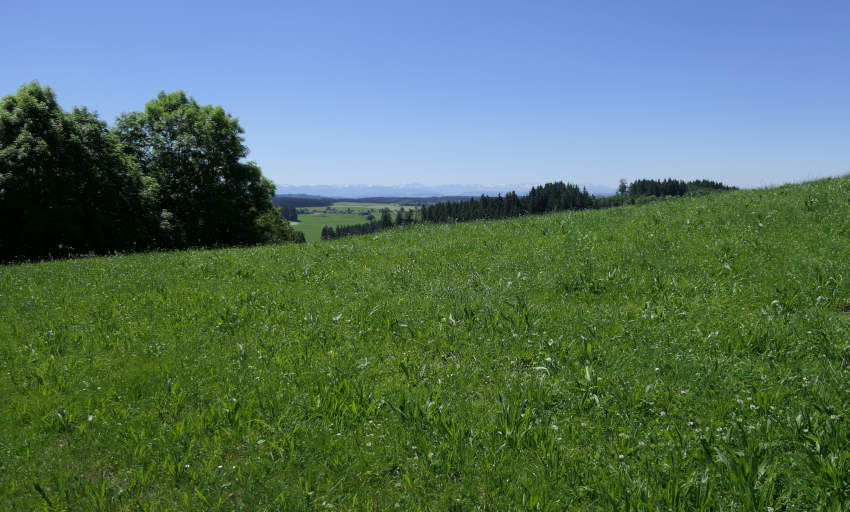 Die Galluskapelle Leutkirch mit super Aussichten 2 Die Galluskapelle Leutkirch - erster Blick in Richtung Alpen