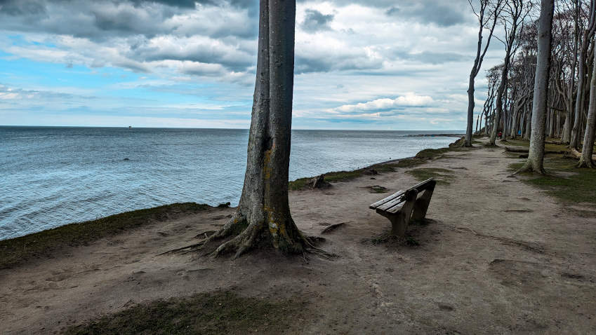 Gespensterwald Nienhagen - Blick auf die Ostsee