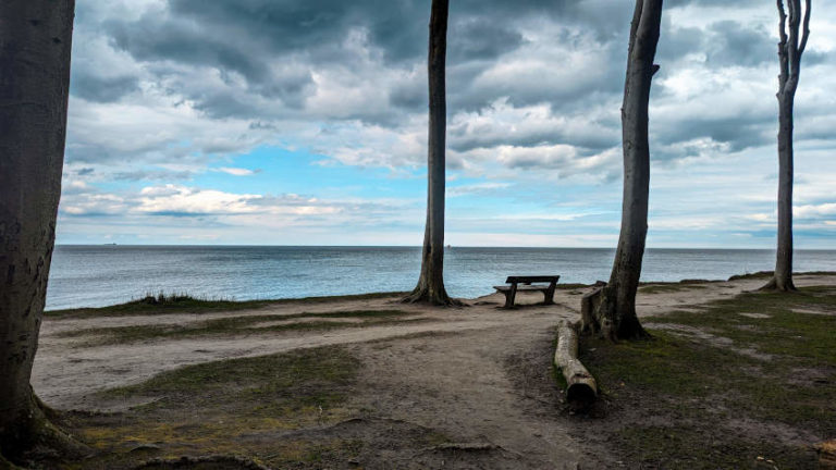 Gespensterwald Nienshagen Startpunkt Strandwanderung 768x432