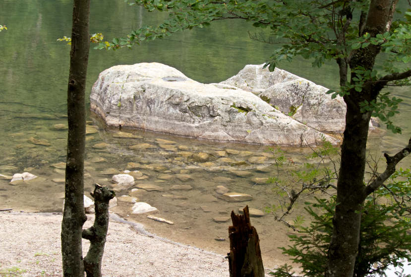 Der Feldsee: Highlight am Fuß des Feldbergs im Südschwarzwald 4