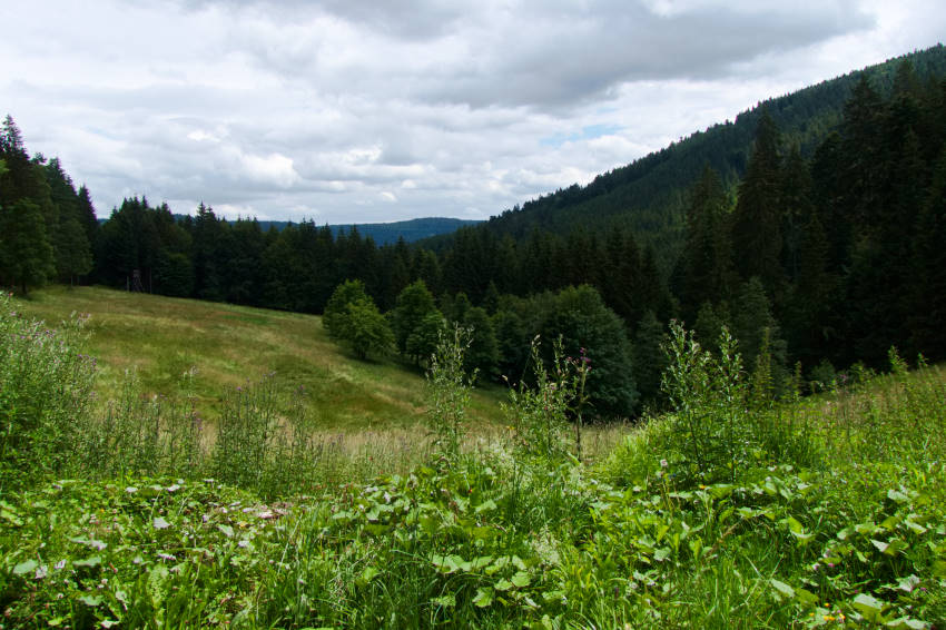 Bezaubernd schön: der Huzenbacher See mitten im Grünen 22