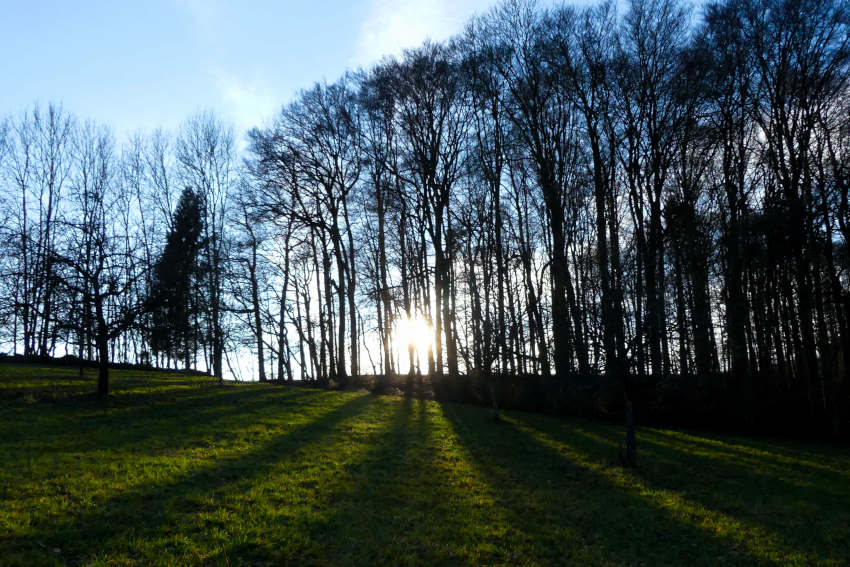 Beliebtes Ausflugsziel: der Stausee Ehmetsklinge bei Zaberfeld 3 Blick auf eine Wiese an der Ehmetsklinge Zaberfeld. Sonnenstrahlen bahnen sich ihren Weg durch die Baumreihe im Hintergrund.